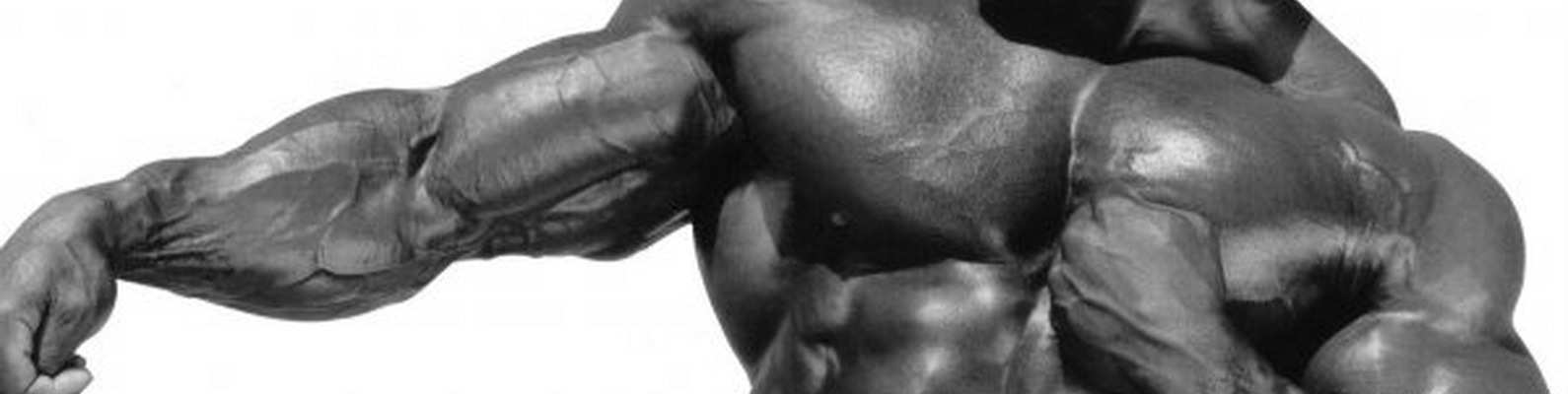 мышца качка 7 букв