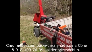 Спил деревьев, расчистка участков в Сочи
