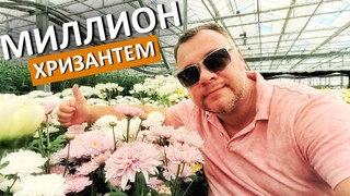 Крым.  НЕВЕРОЯТНОЕ МЕСТО, ГДЕ РОЖДАЕТСЯ КРАСОТА. Я посетил агрохолдинг Верёвкин хутор Капитан Крым