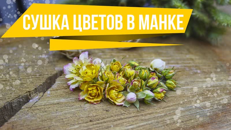 Супер метод Объемная СУШКА ЦВЕТОВ В МАНКЕ, Способ 3 D сушки