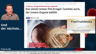 Kommt die Pilz-Pandemie / Hendrick Streeck auf der Suche nach dem Virus / Putin und der Haftbefehl