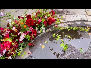 Челси 2024 -  Chelsea Flower Show 2024 (Part  1 )- Выставка Цветов В Челси  (1 Часть) #chelsea2024