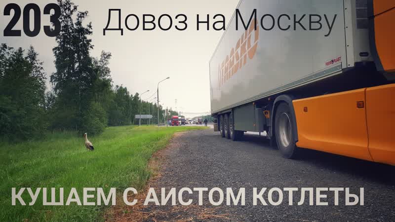 203 Довоз на Москву. Кушаем с аистом