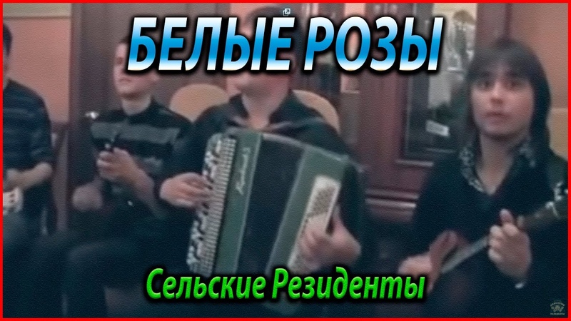 БЕЛЫЕ РОЗЫ КАВЕР Сельские