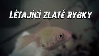 Létající zlaté rybky | Gilbert Keith Chesterton | DETEKTIKA