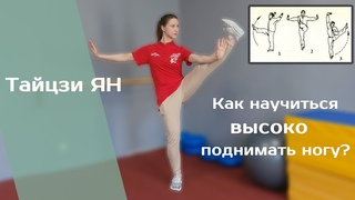 ТАЙЦЗИЦЮАНЬ. Равновесие с поднятой ногой (подготовительные и подводящие упражнения).