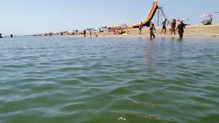 Медузы приплывают к берегу в Азовском море (Счастливцево)