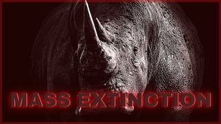 The Mass Extinction 2021