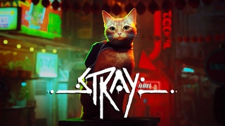 CТРИМ:  STRAY