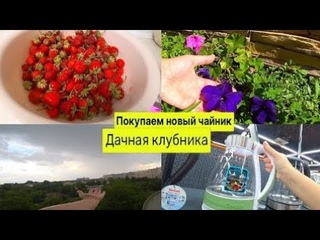 Покупка нового чайника Где купить чайник в Уральске. Дачная клубника 11 06 21