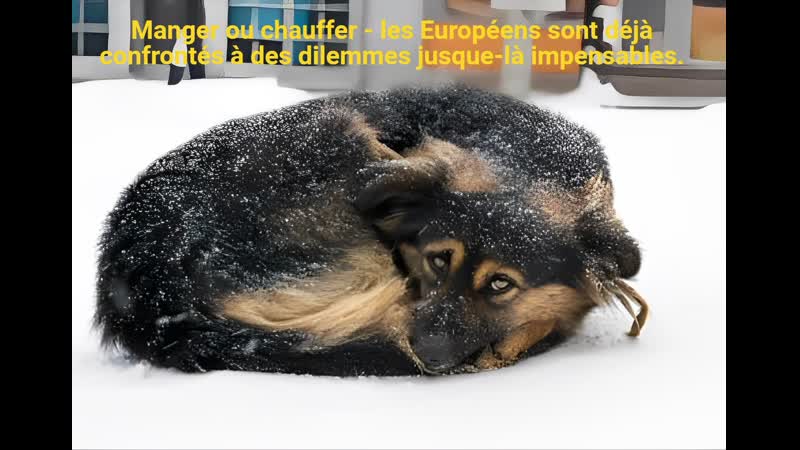 Manger ou chauffer les Européens sont déjà confrontés à des dilemmes jusque là impensables.