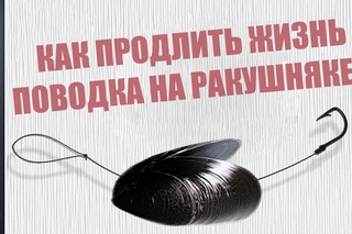 Как защитить длинный поводок от ракушки и камней? | 1080p