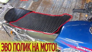 ЭВО ПОЛИК НА МОТИК КРАСОТА!!!