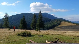 Как же ЗДЕСЬ КРАСИВО! Полонина Хомяк Карпаты , Polonyna Khomyak Carpathians