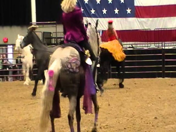 Midwest Horse Fair 2015 Friesian Heritage Horse