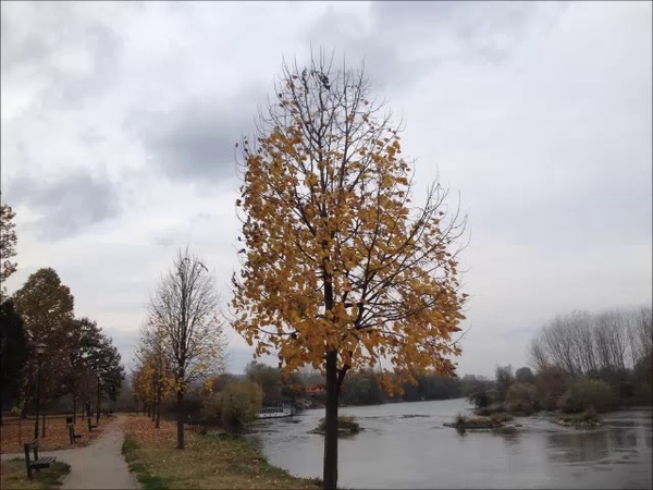 Ćuprija, Oktobar Novembar Decembar