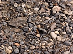 PBR Ground Soil A04