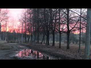Снова начались весенние закаты над физическим факультетом. Вторник, 9 апреля 2024 г.