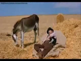 ADIVINA COMO SABER LA HORA? ( GRANDIOSO CHISTE)