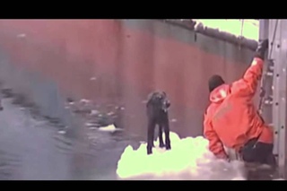 Russian Fisherman Saves Dog Stranded On Ice