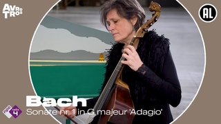 Bach: Sonate nr. 1 in G majeur BWV 1027 'Adagio'  - Nederlandse Bachvereniging - Live HD