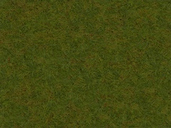 VSZD grass main (autumn ver.2)