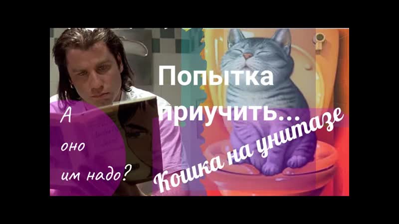 Кошка на приучить. А оно им