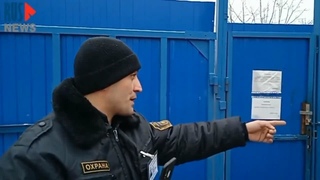 Люди идут спасать похищенную собаку из приюта