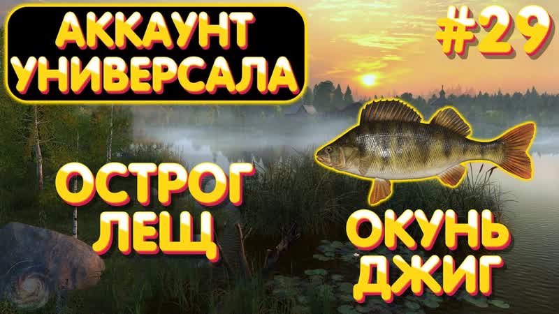 Аккаунт универсала, 29, Окунь на джиг + Лещ, Старый Острог,
