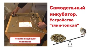 Самодельный инкубатор: устройство “тяни-толкай“. Режим инкубации перепелов.