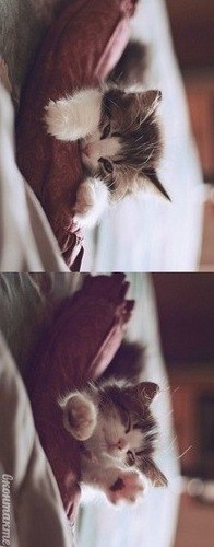 Даша Буздалина | Прокопьевск