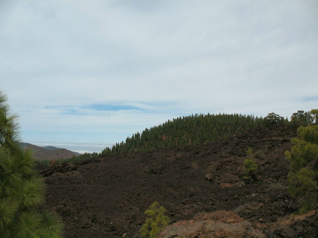 Mihail Gita | Кохтла-Ярве