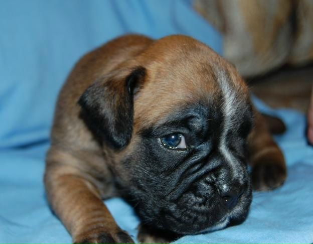 №48, Оля Филоненко, Киев №48, Оля Филоненко, Киев