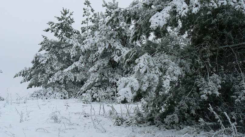 Марина Беседина | Россошь