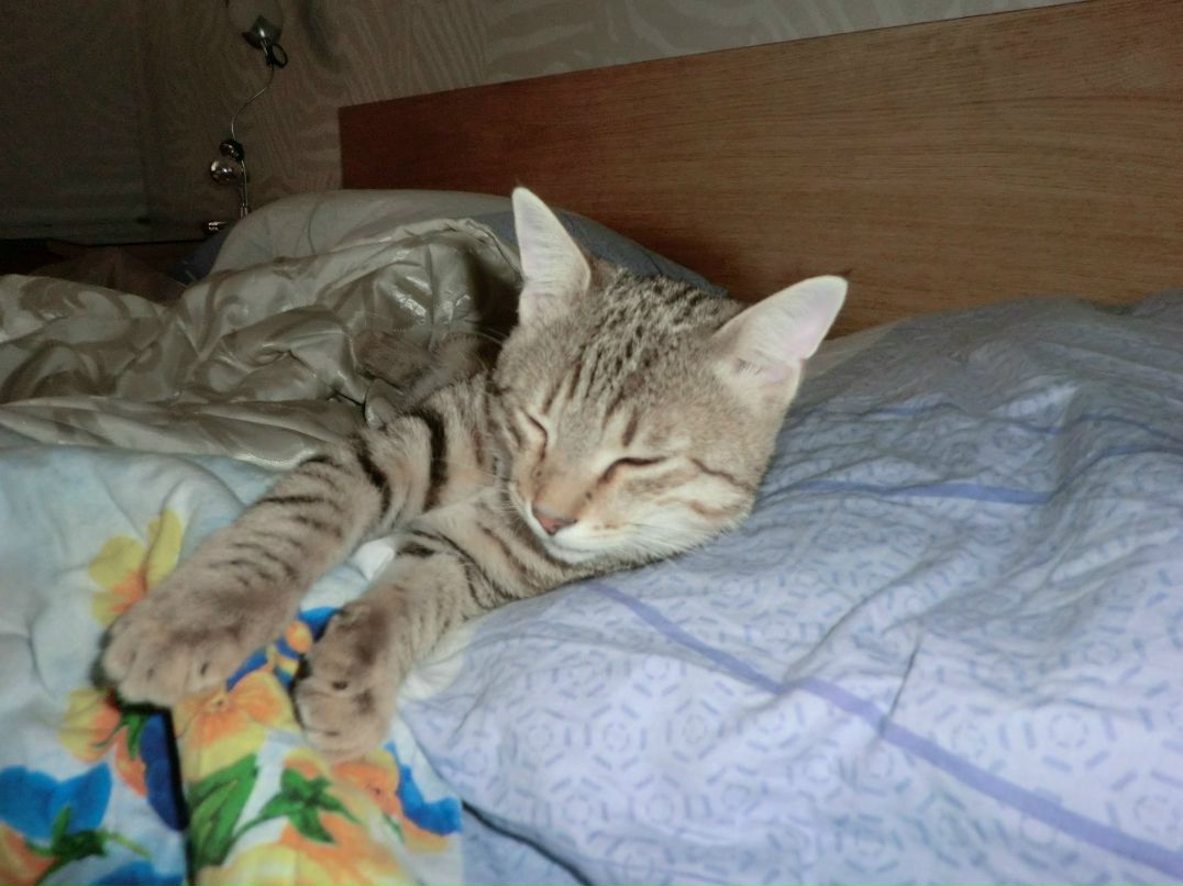 Вика Боброва | Санкт-Петербург