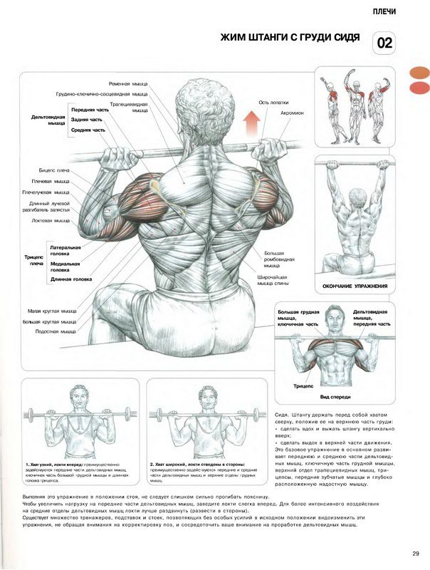 Диман Торин | Москва