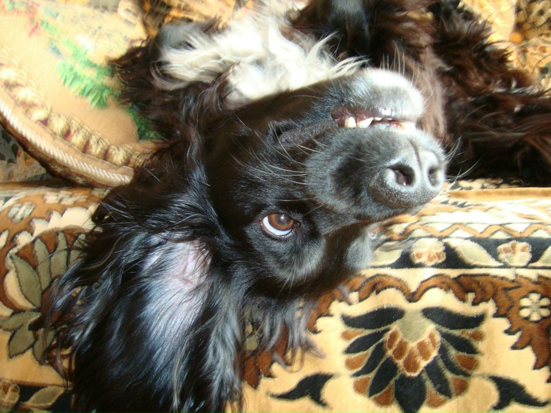 Алла Молчанова | Рязань