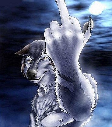 №50, Павел Снежок, Santiago de Cuba №50, Павел Снежок, Santiago de Cuba