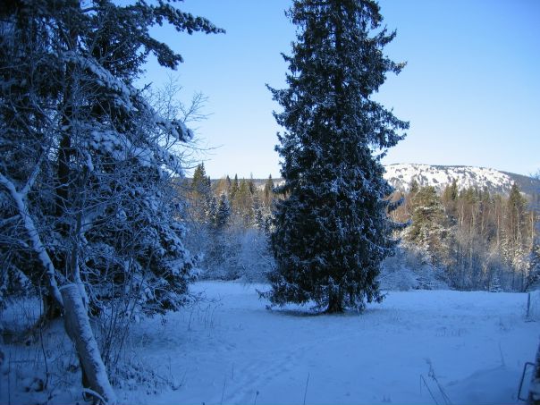 №37, Константин Тарасов, 30.5 №37, Константин Тарасов, 30.5