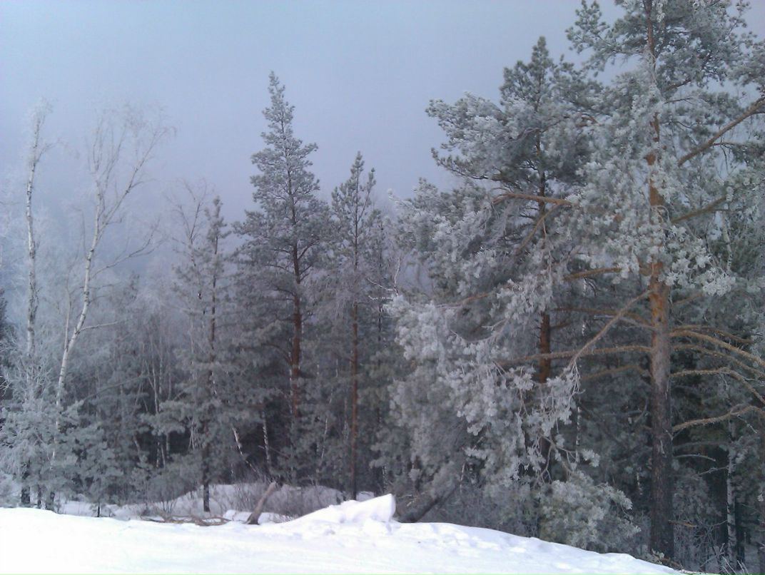Лариса Буркова shehmet | Челябинск