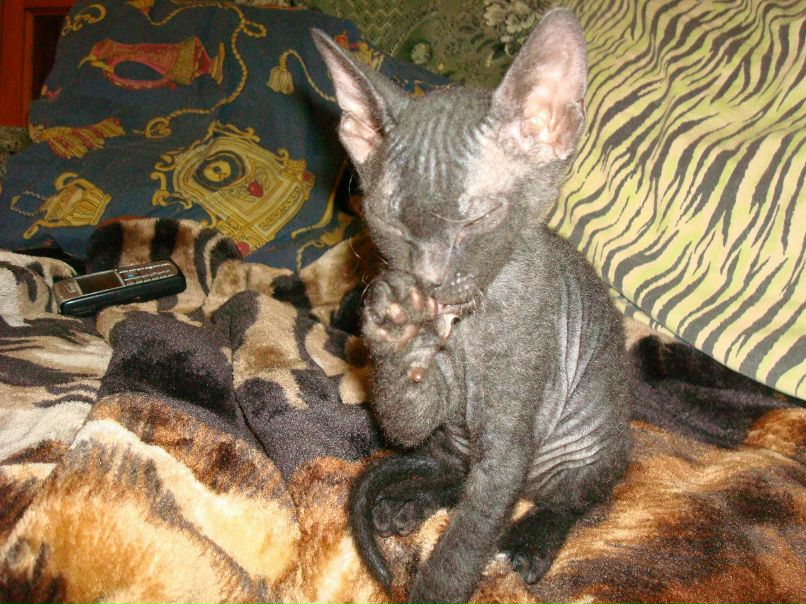 Ольга Цесельская | Ирпень