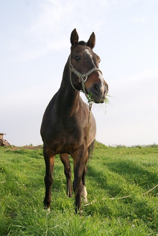 Марина Темченко | Гайсин