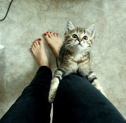 Мария Липс Amelia.. | Tønsberg