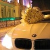 Аватар: Анвар Анвар