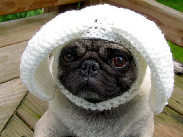 Sandro Alexandrov Invincible | Москва