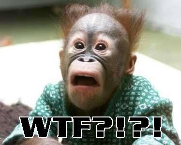 Елена Молодцова | Киев