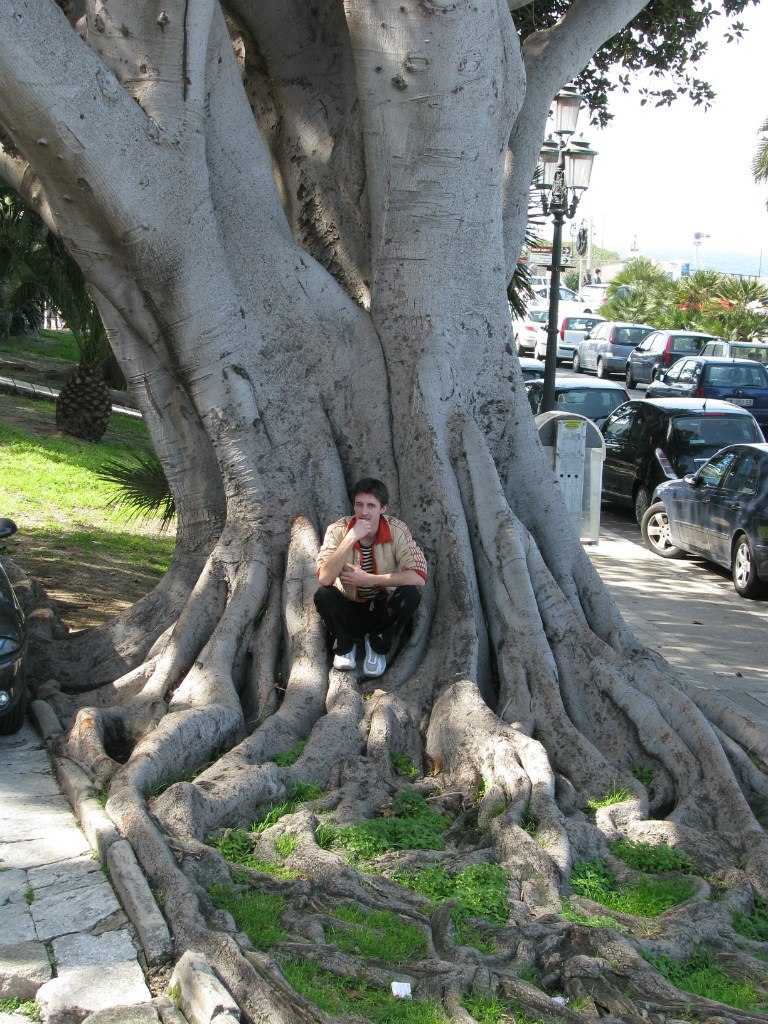 Олександр Поліщук | Киев