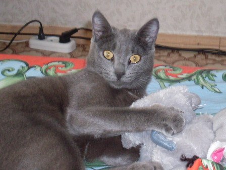 №40, Соня Бобровникова, 17.9.1997 №40, Соня Бобровникова, 17.9.1997