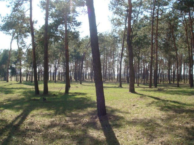 Роман Євгенович | 