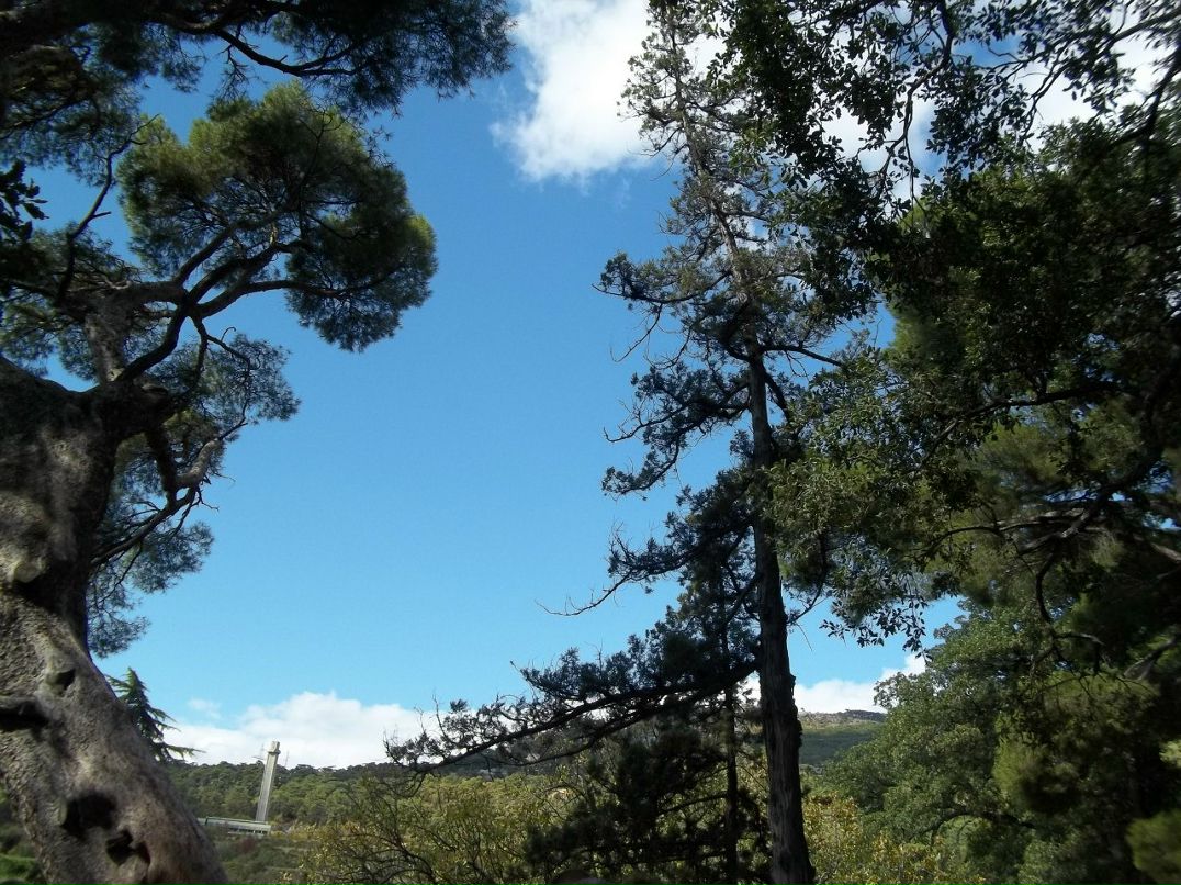 Алексей Зинюк | Бердянск